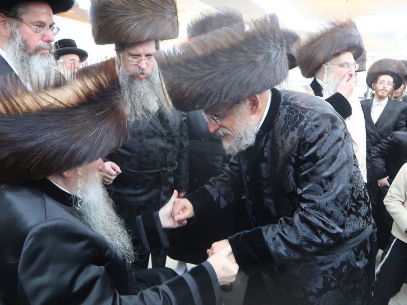שימי פ.