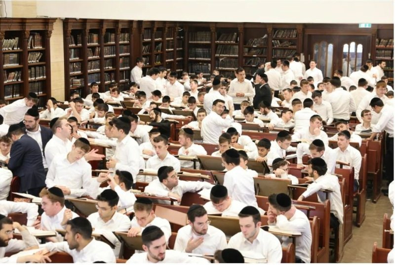 מאיר שבח