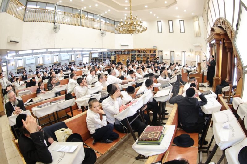 שלומי טריכטר