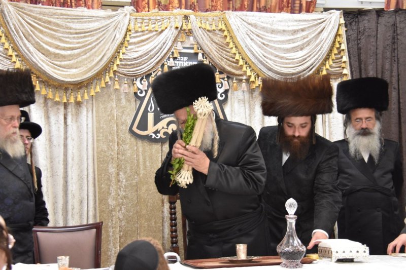 יהודה פרקוביץ