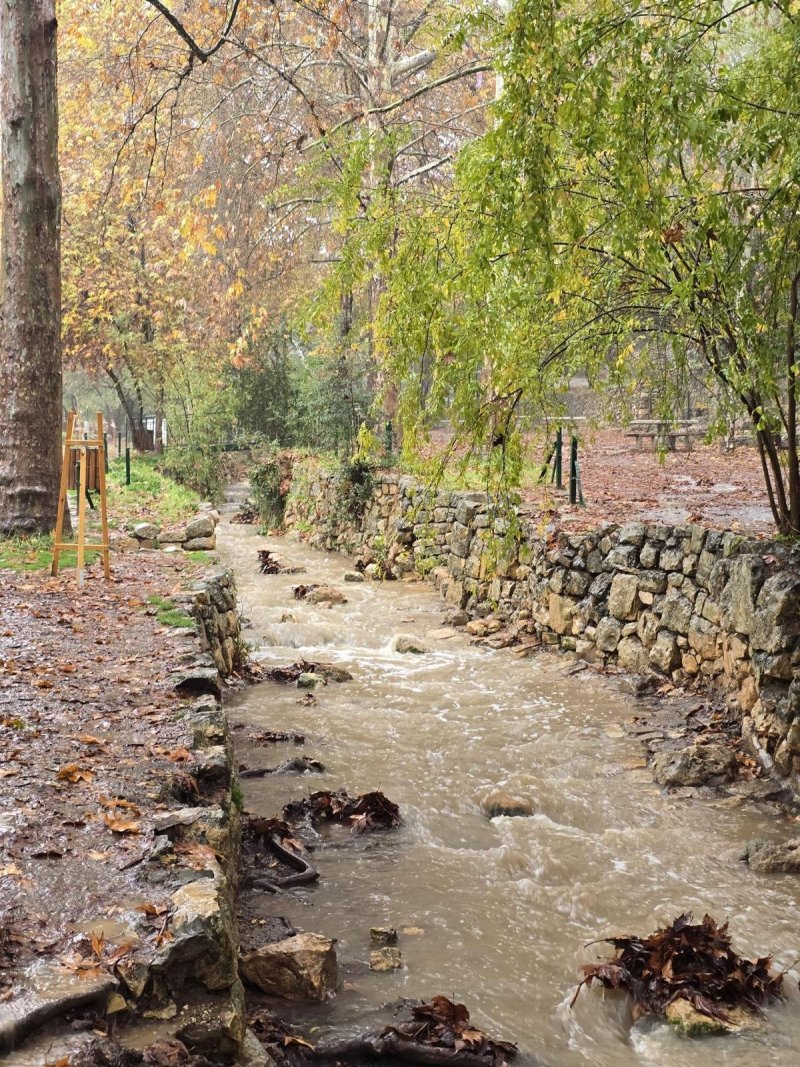 גיא אל בוחר רשות הטבע והגנים