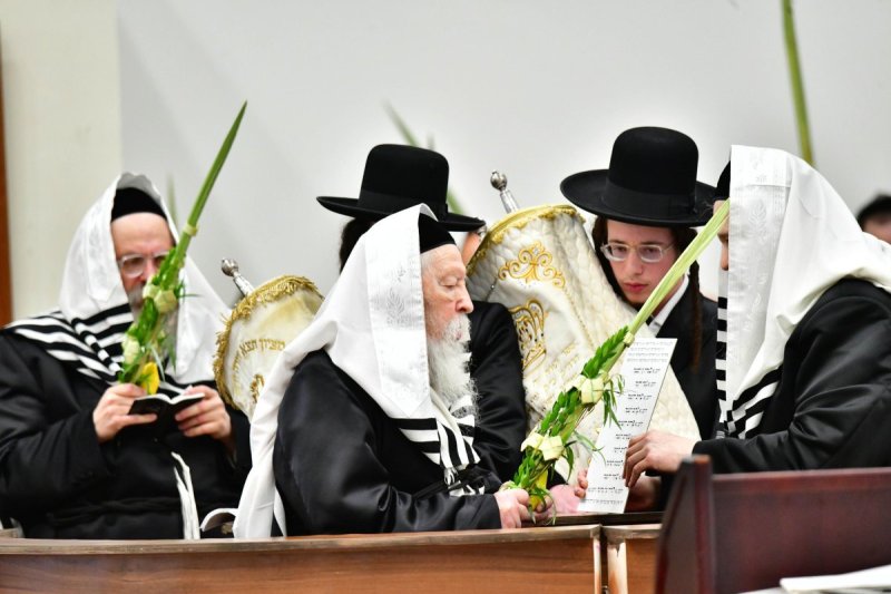 שוקי לרר