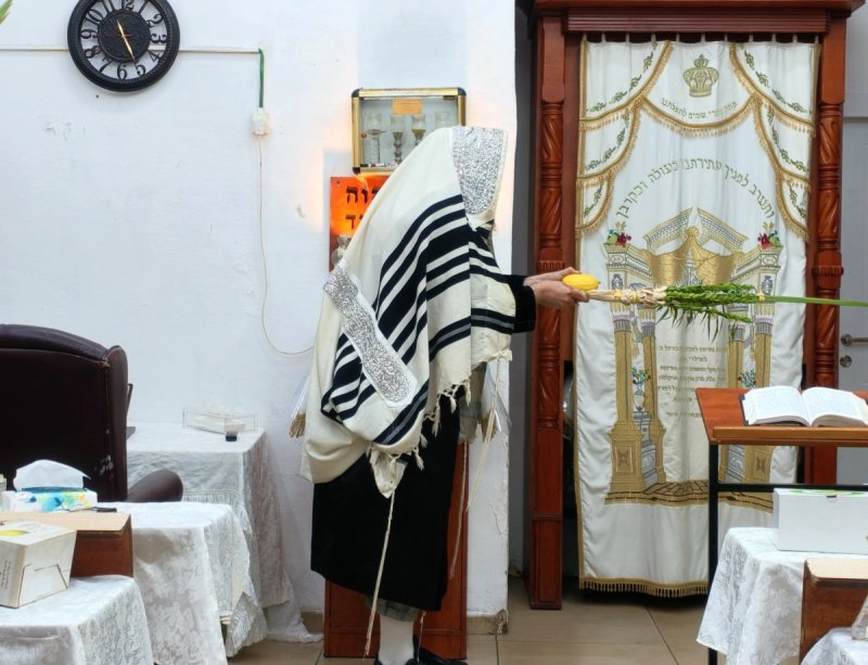 שוקי לרר