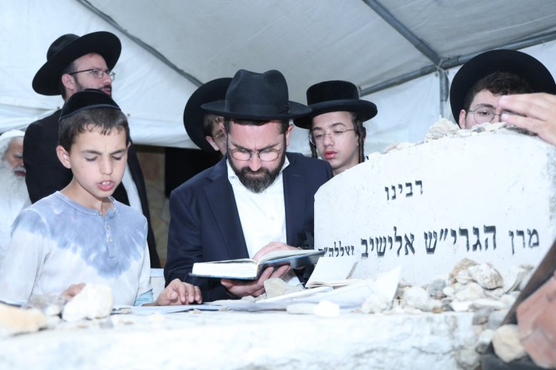שלומי טריכטר