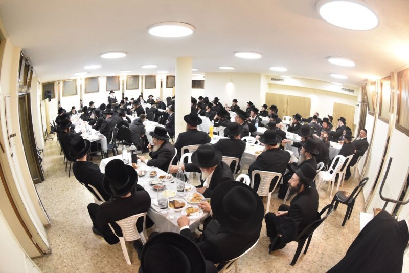 יהודה פרקוביץ