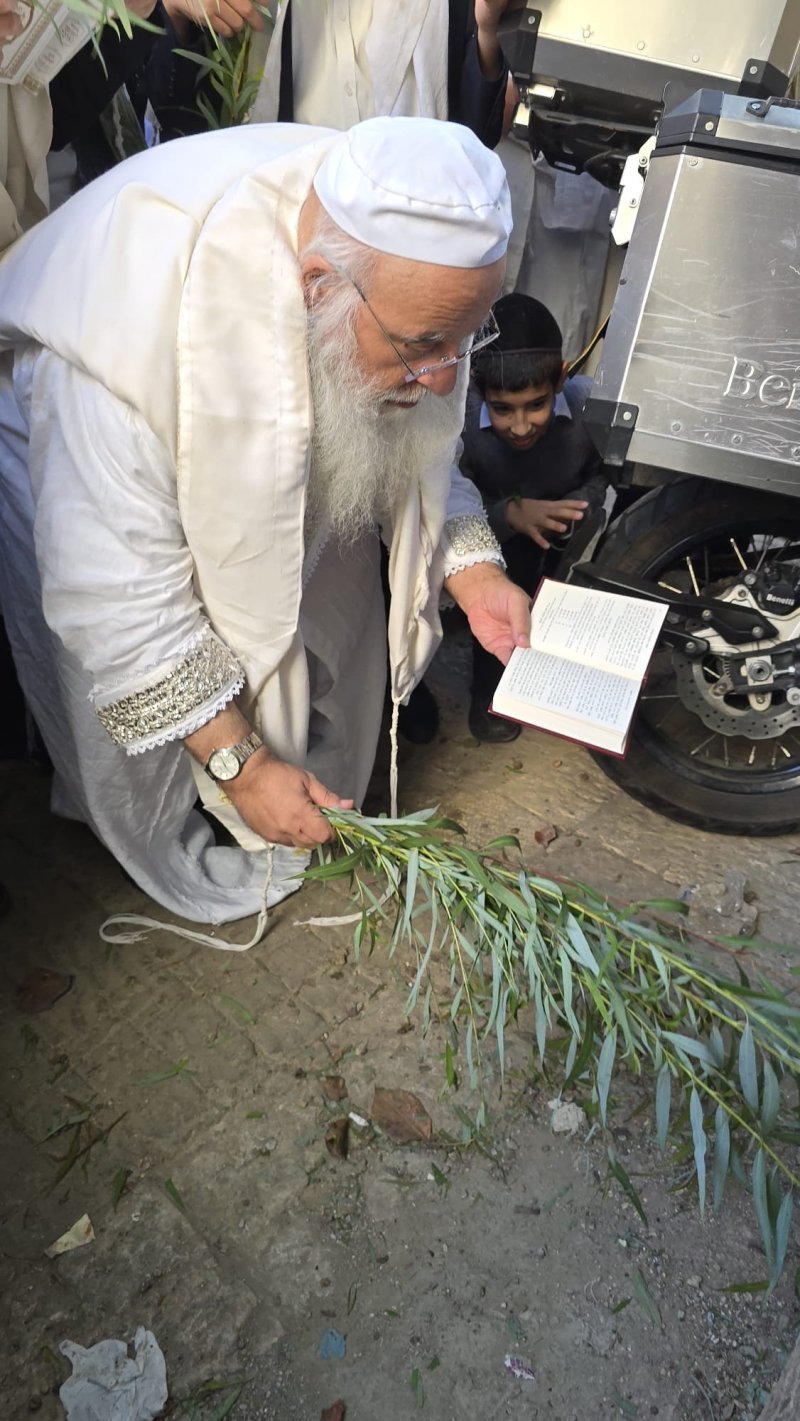 שלומי טריכטר ומ.פ