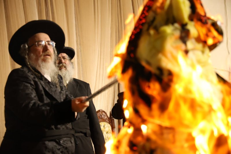נתי אמרגי