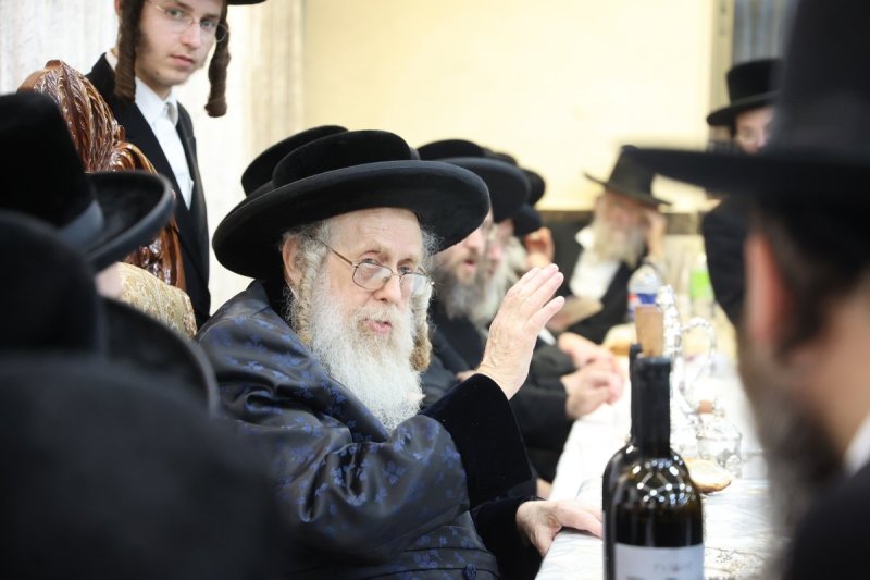 שלומי טריכטר