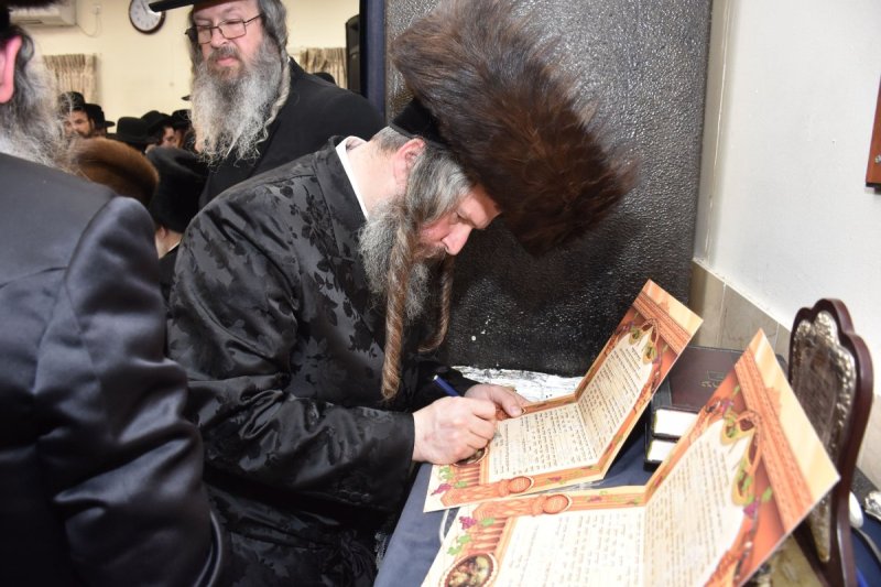 יהודה פרקוביץ