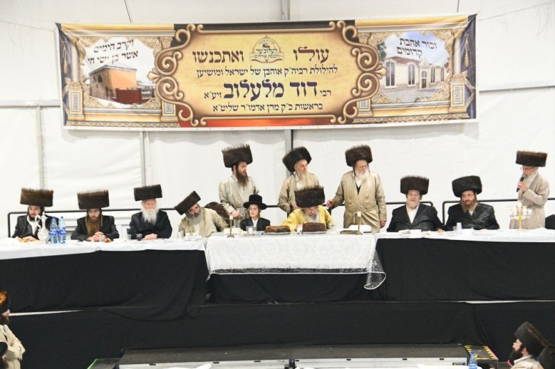 ארי קופרשטוק