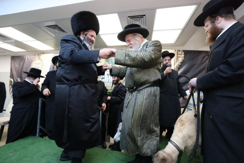באדיבות המצלם