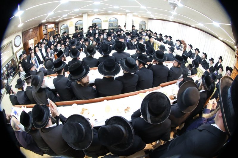 שלומי טריכטר