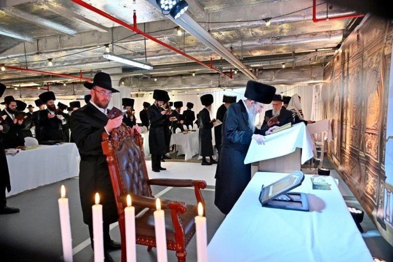 יהושע פרוכטר