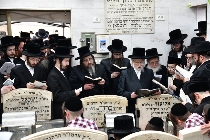 יוסי לוי