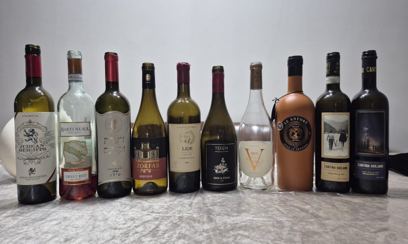 פרשת שמיני תשפ"ו, שאריות מפסח