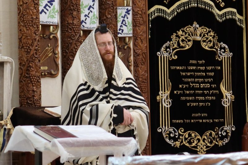 אלקנה קליין