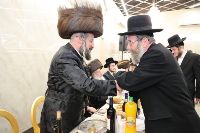 שלומי טריכטר