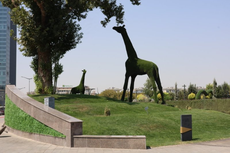 מרדכי לובעצקי