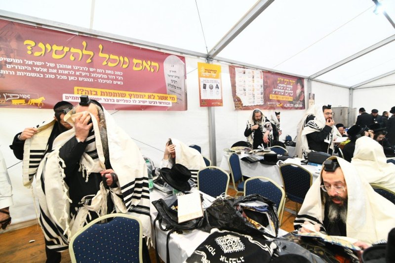 ארי קופרשטוק - פולין