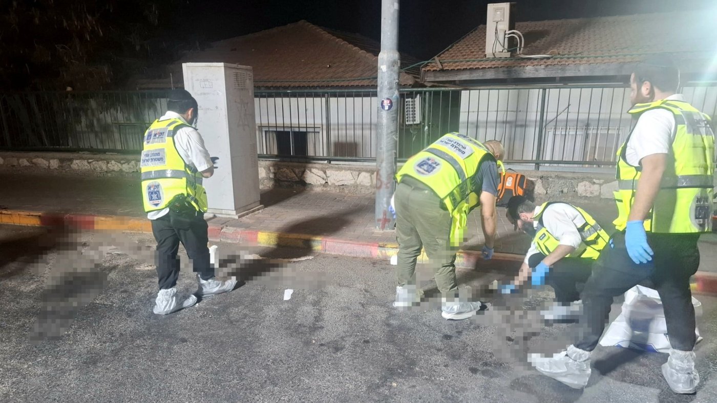 דוברות זק"א