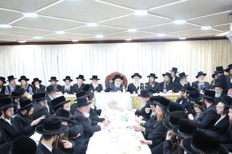 שלומי טריכטר