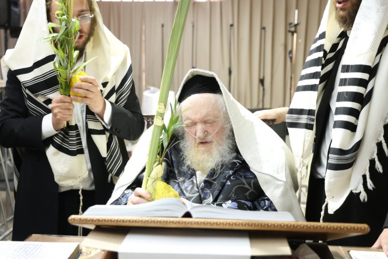 דוד ארזני