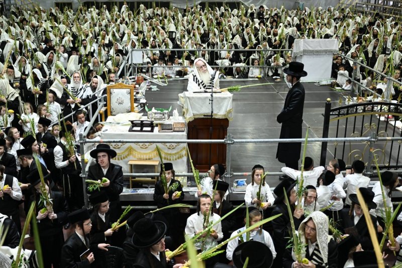 משה גולדשטיין