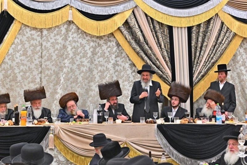 יהושע פרוכטר