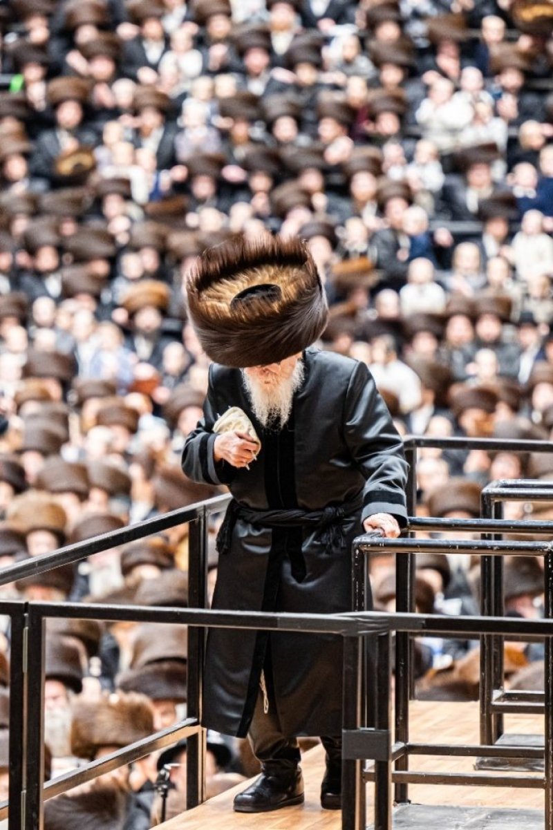 אלי וואהל, איצי מ.