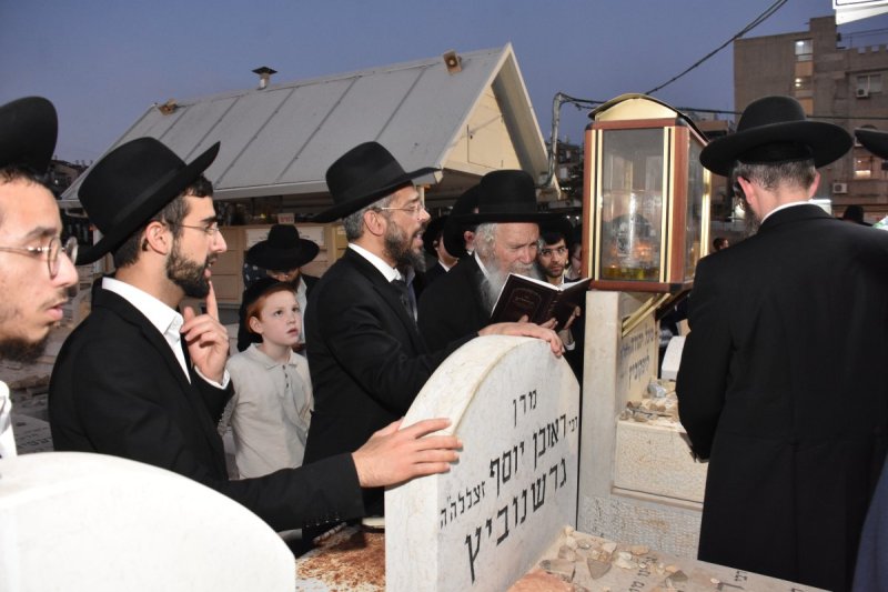 יהודה פרקוביץ