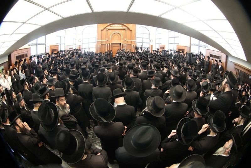 שלומי טריכטר