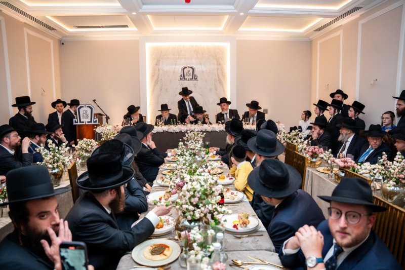 דניאל נפוסי ומאיר זלזניק