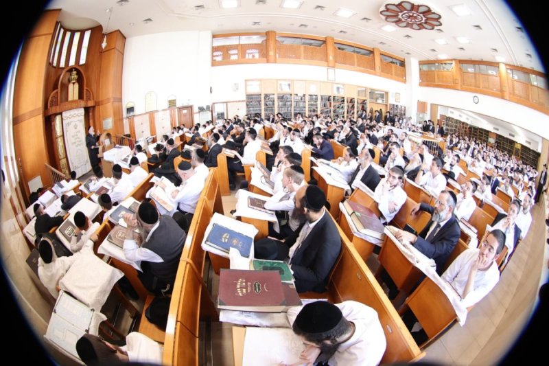 שלומי טריכטר