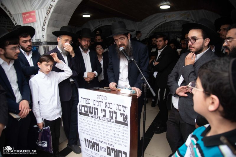 עזרא טרבלסי