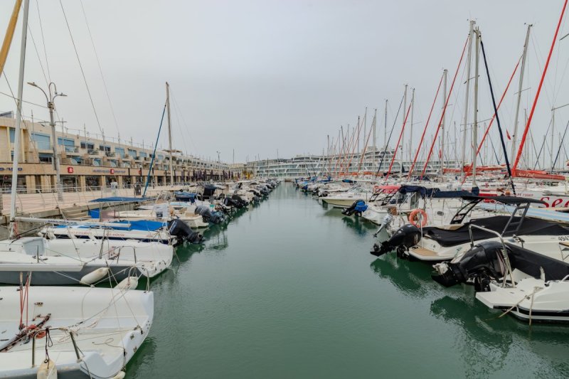 שמוליק קורלנסקי