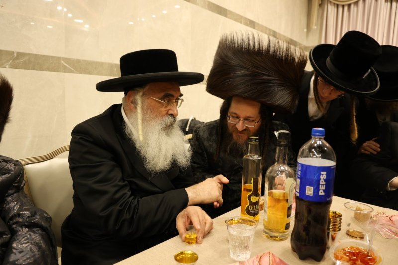 נתי אמרגי