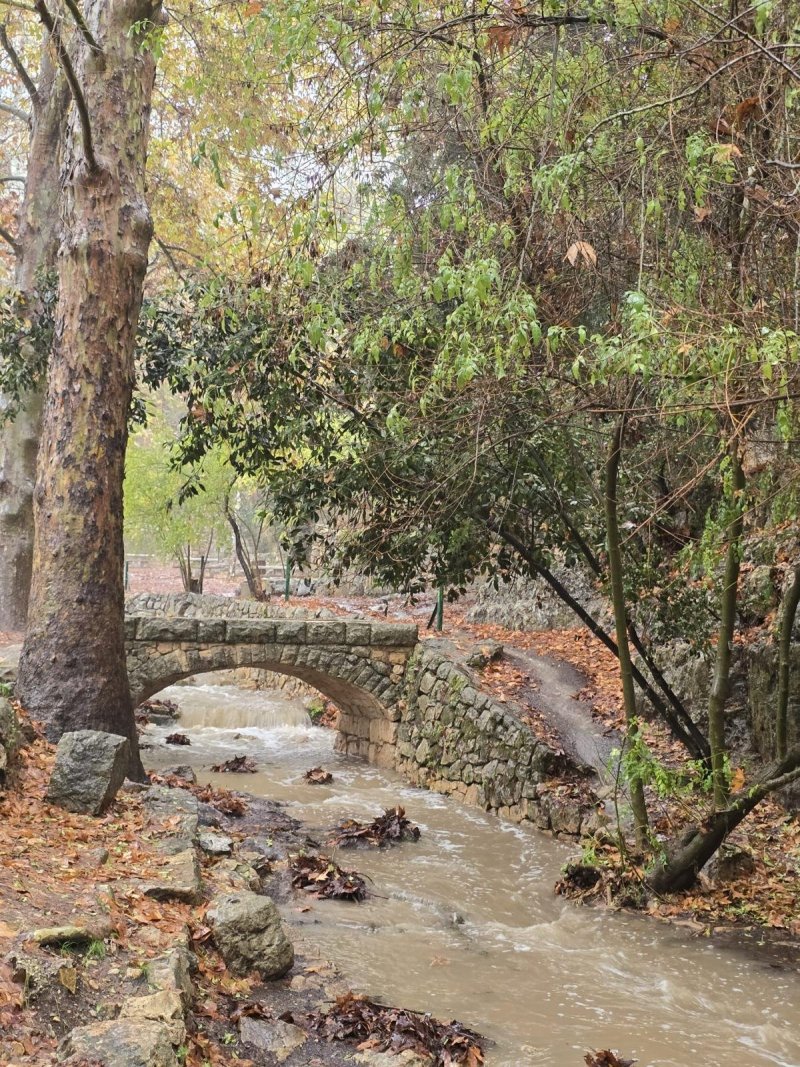 גיא אל בוחר רשות הטבע והגנים