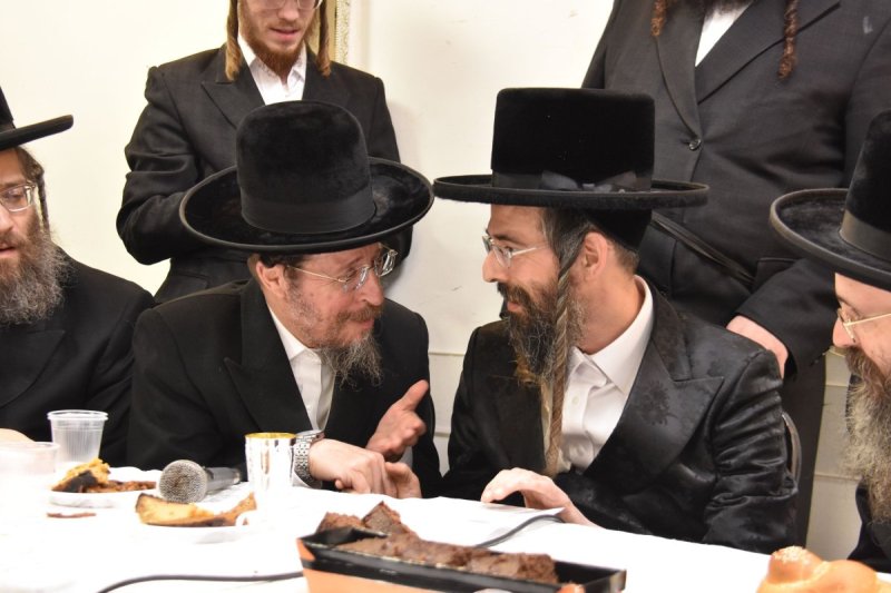 יהודה פרקוביץ