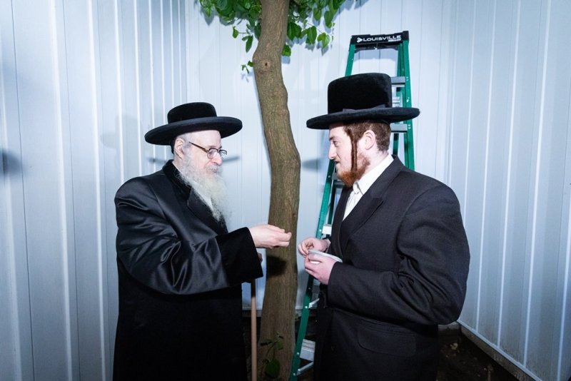 האחים לאנטשעווסקי
