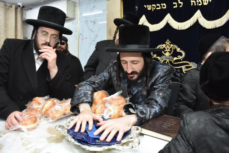 יהודה פרקוביץ