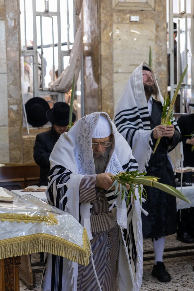 א.פ.ק