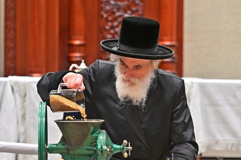 יהושע פרוכטר