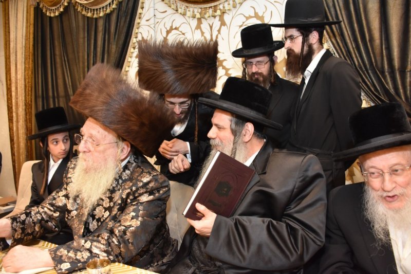 יהודה פרקוביץ