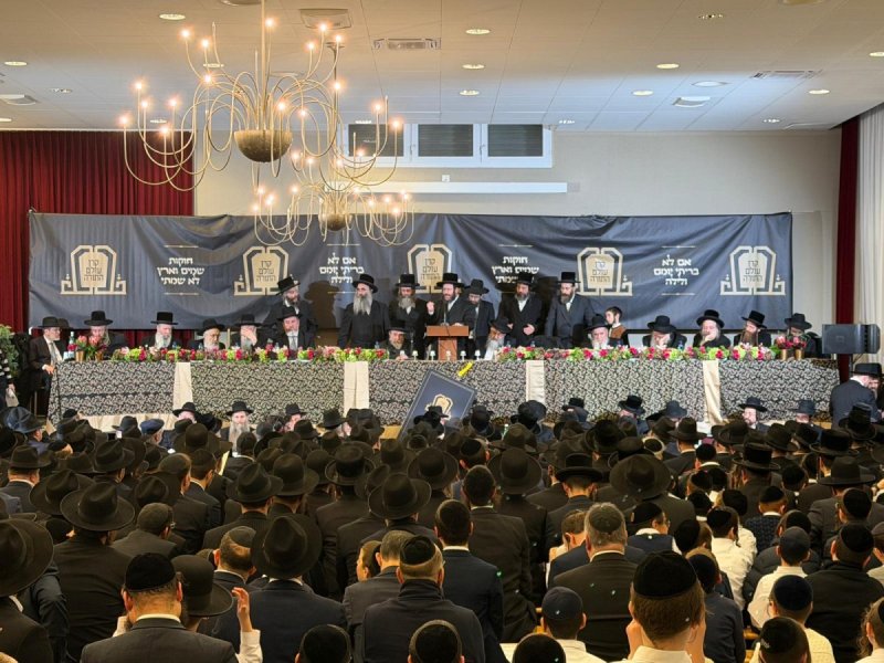 דניאל נפוסי ומאיר זלזניק