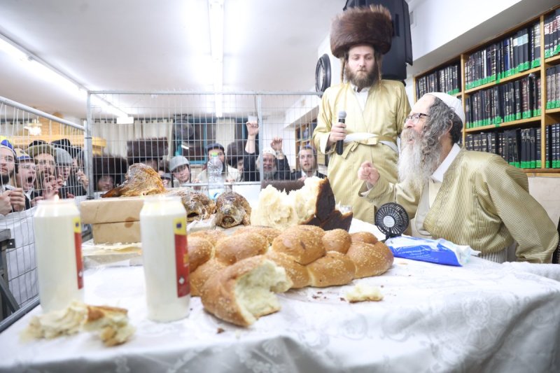 שלומי טריכטר