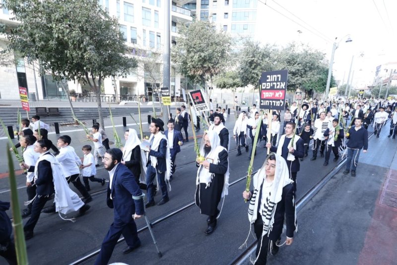 שלומי טריכטר ומ.פ