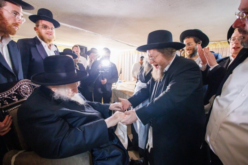 דניאל נפוסי