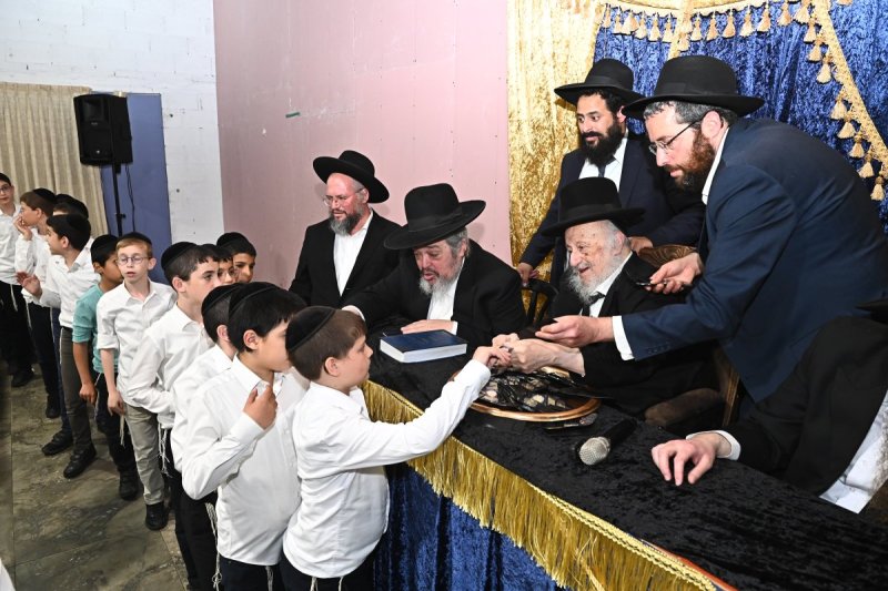 שוקי לרר