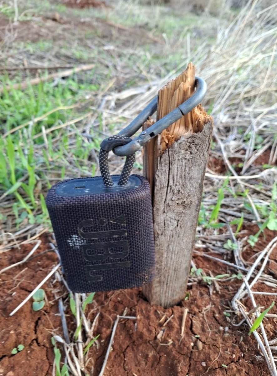 רשות הטבע והגנים
