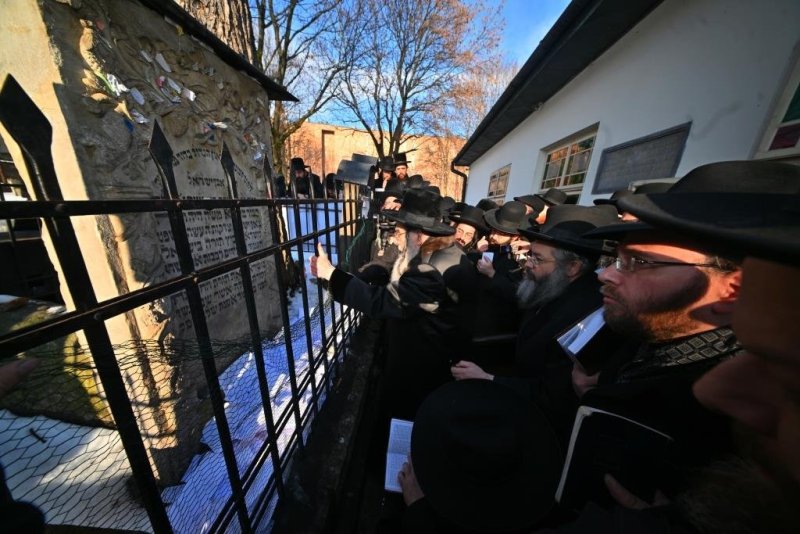 יהושע פרוכטר